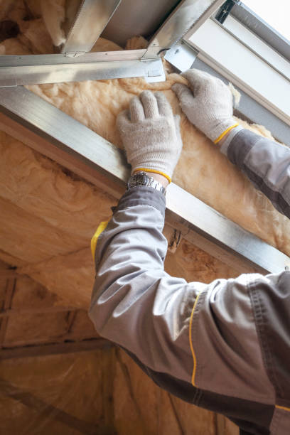 Types of Insulation We Offer in TX